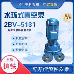 2BV-5131水环式真空泵