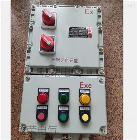 钢板焊接立式控制柜 检修电源开关箱