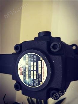 中国台湾弋力EALY油泵叶片泵VPE-F45-D-10