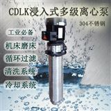 CDLK20-100/10数控加工耐磨喷淋清洗过滤泵车床立式离心泵