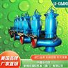 進口潛水貫流泵-美國品牌歐姆尼U-OMNI