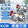 防爆型KCB300工業輸送潤滑油齒輪泵