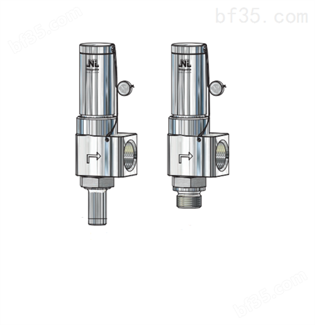 泄压阀Niezgodka safety valve 10.F.0.36型