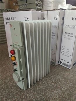 BXY58-2000防爆电暖气