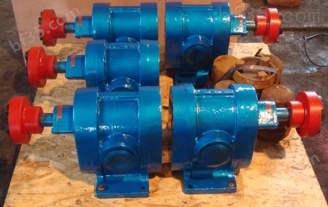 仕航机械厂家生产铸铁2CY齿轮泵