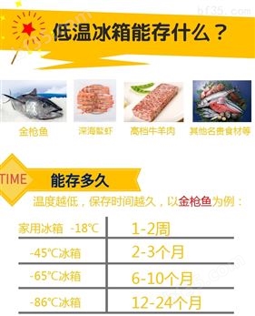 经济款-65度金qiang鱼超低温保鲜冷冻冰柜