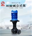 上海耐腐蚀液下泵 广东台风耐酸碱立式泵