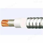 ZC-DJFVRP3 6*2*1.5阻燃计算机电缆