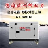 GT-650TSI欧洲狮5千瓦*柴油发电机电流稳定