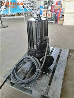 垃圾燃烧厂排污铰刀泵SMPE75-2_电压380V