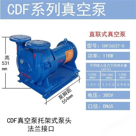 CDF真空引水泵钢铁厂用真空泵